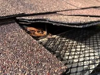 Slide of Christian Brothers Roofing