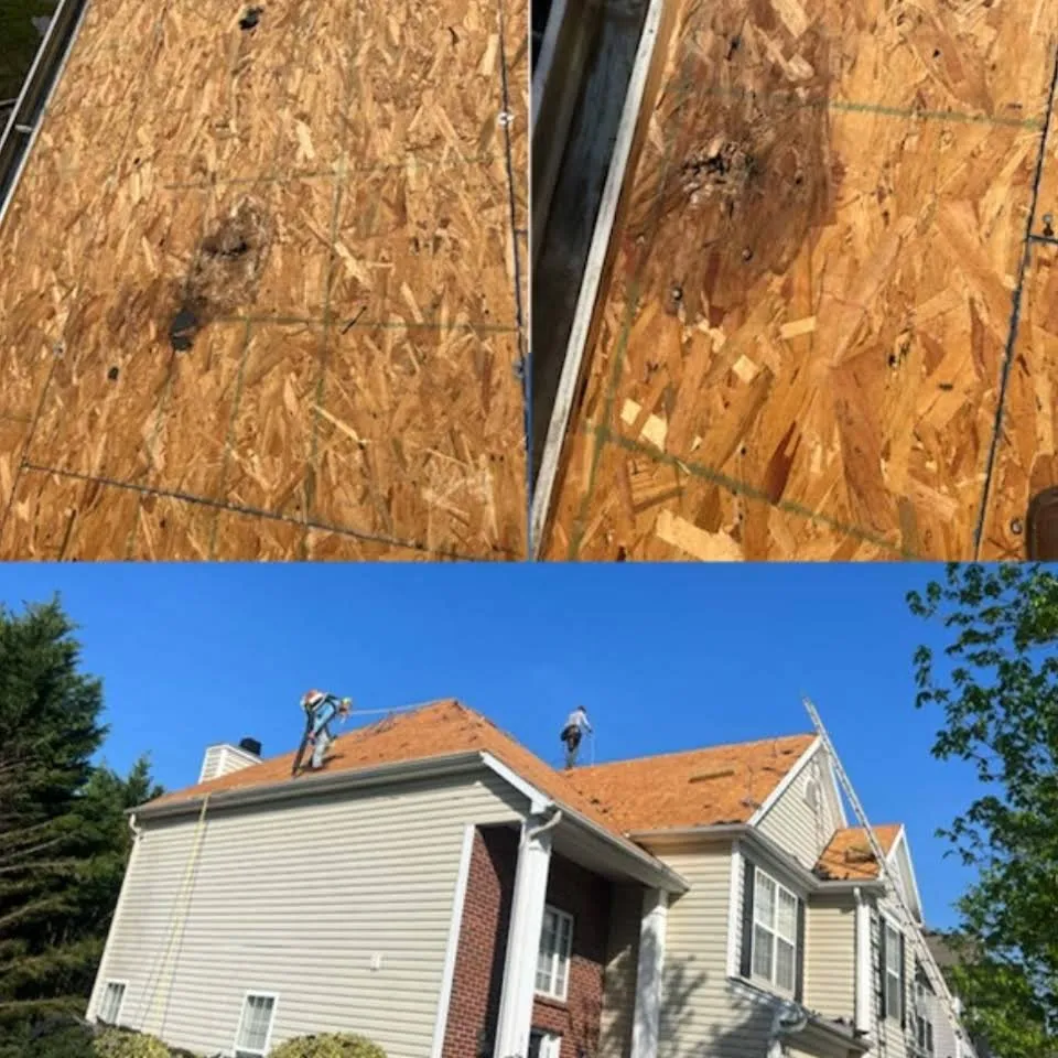 Slide of Chupp - Roofing Experts & Policy Pros