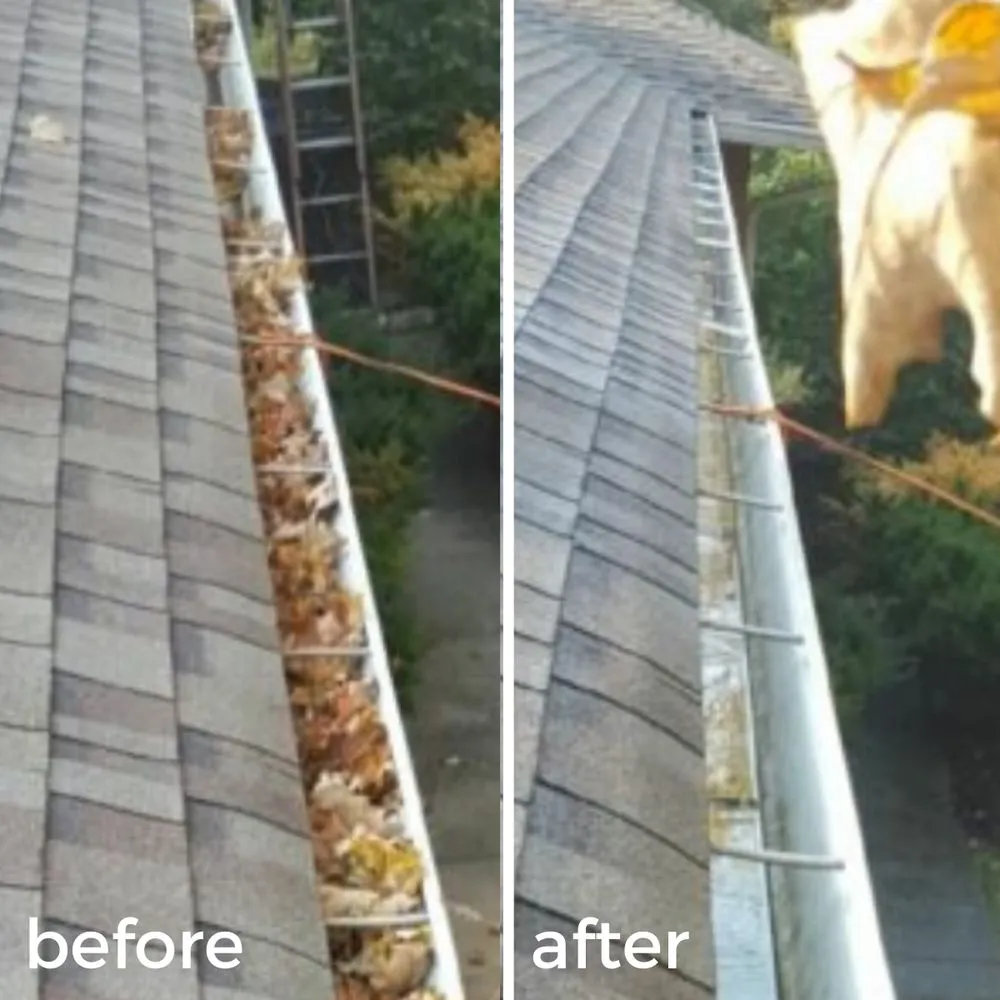 Slide of Cincy Gutter Boys