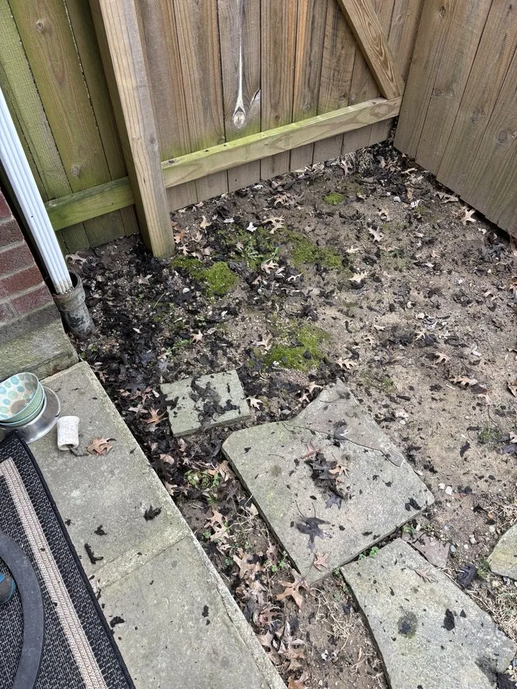 Slide of Cincy Gutter Boys