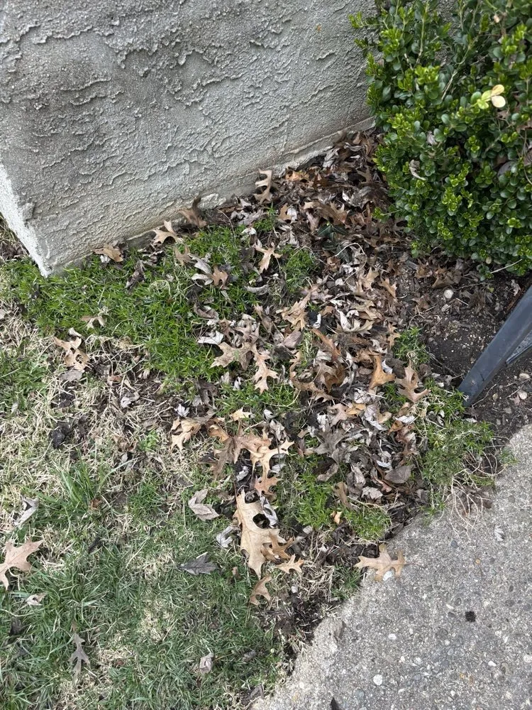 Slide of Cincy Gutter Boys