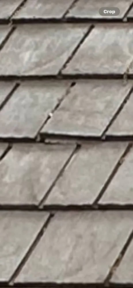 Slide of Circle A Consulting