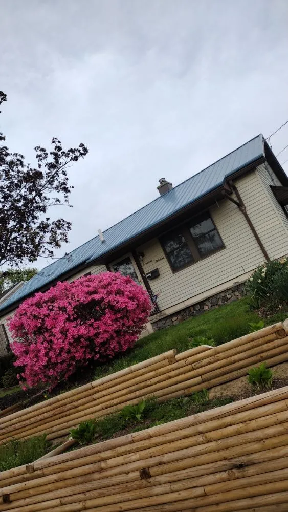Expert shingle roofing service experts serving Pine Township, PA - Circle E Construction