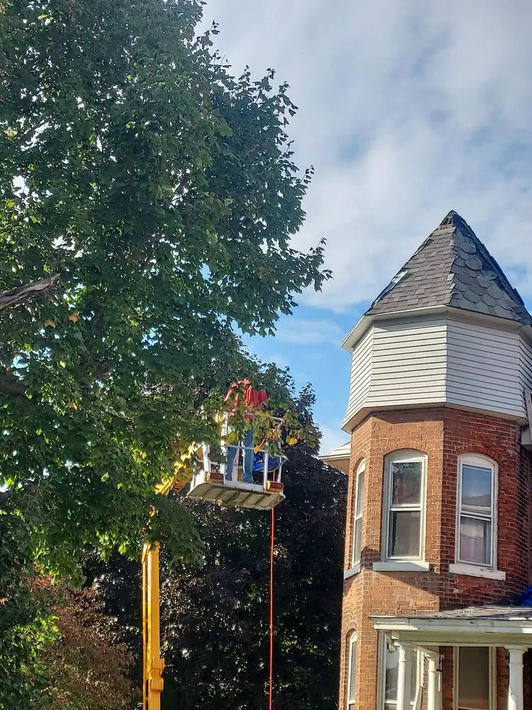 Slide of Cirigliano Enterprises