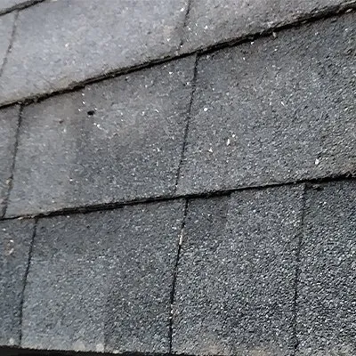 Slide of Cisco's Fine Touch