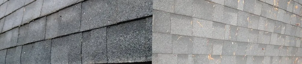 Slide of Cisco's Fine Touch