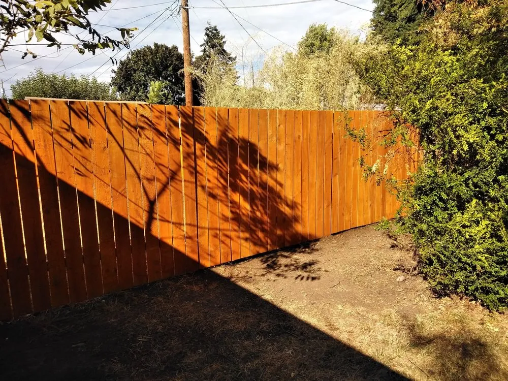 Slide of Cisco's Fine Touch