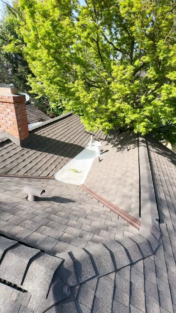 Slide of Cisco's Roofing