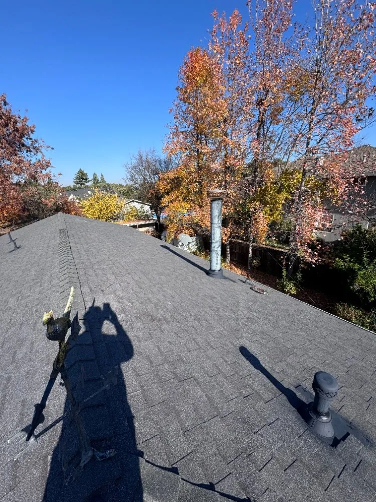 Slide of Cisco's Roofing