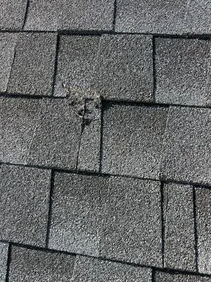 Citadel Contracting Logo