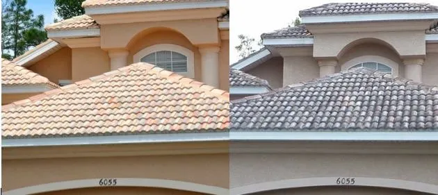 Slide of Citrashield