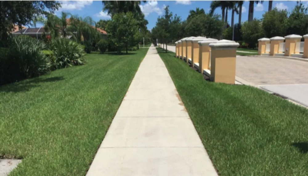 Slide of Citrashield