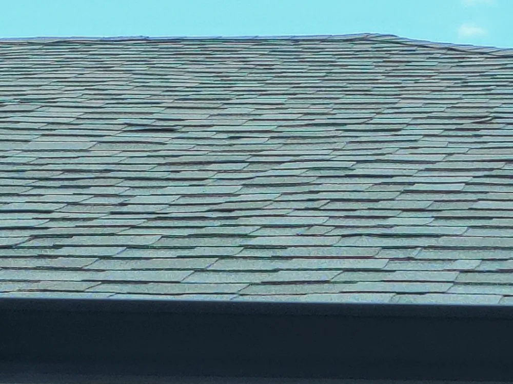 Slide of Citrus Contracting