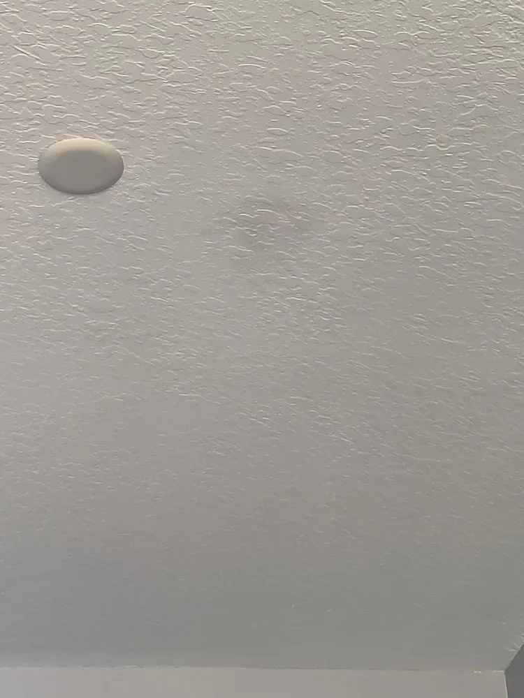 Slide of Citrus Contracting