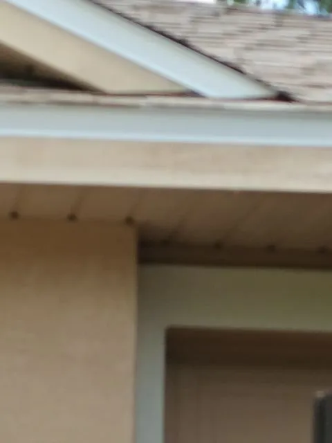 Slide of Citrus Contracting