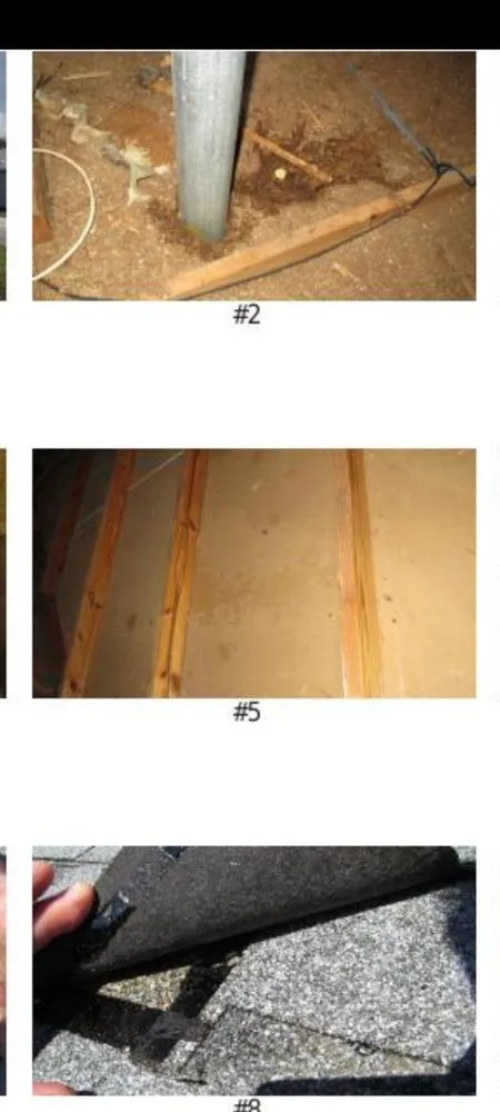 Slide of Citrus Contracting