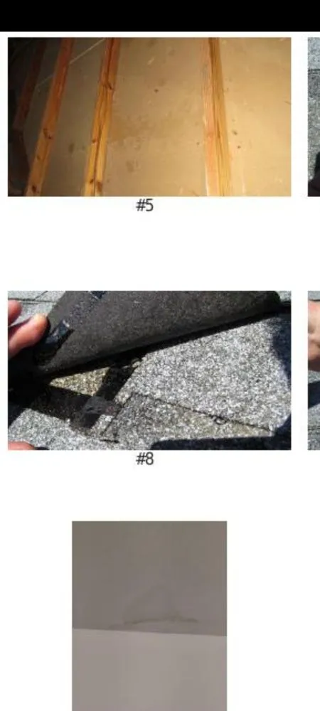 Slide of Citrus Contracting