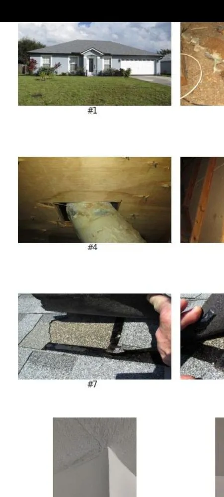 Slide of Citrus Contracting