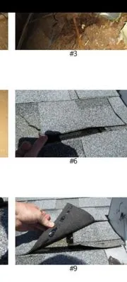 Citrus Contracting Logo