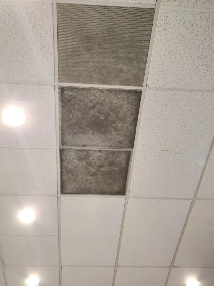 Slide of City of Palms Construction