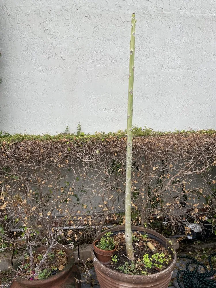 Slide of City Roofing and Construction