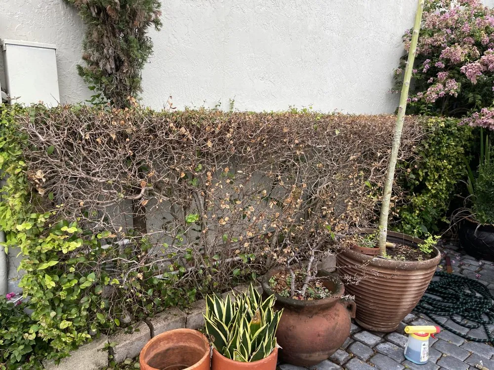 Slide of City Roofing and Construction