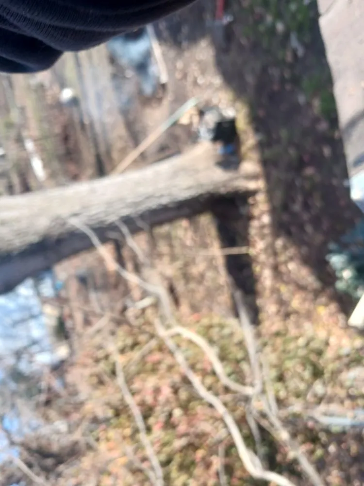 Slide of CJ Construction And Home Solution