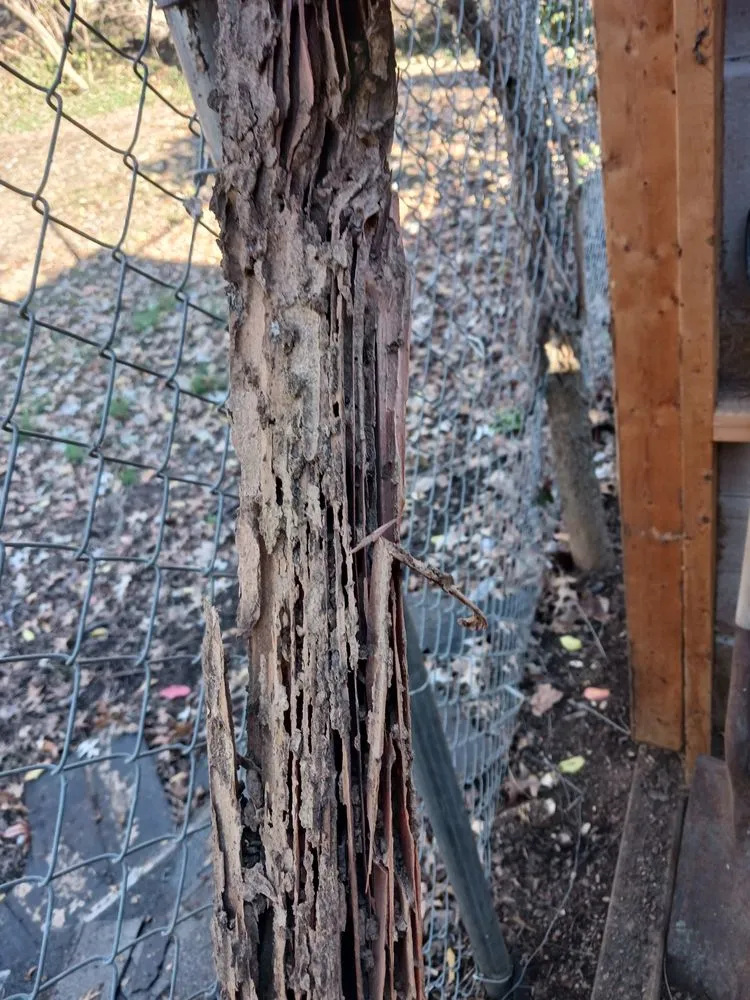 Slide of CJ Construction And Home Solution