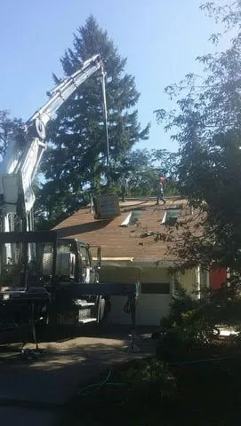 Licensed metal roofing installation in Sheroline, WA - CJ North West Roofing