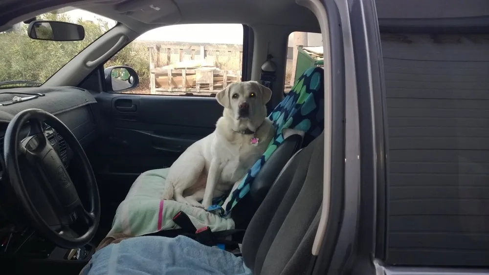 Slide of CJ West Roofing