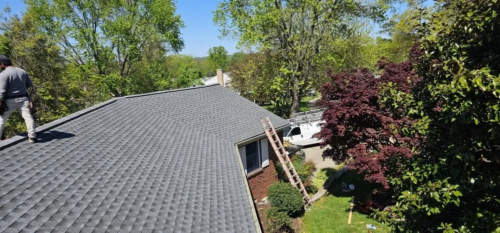 Slide of CJ's Construction