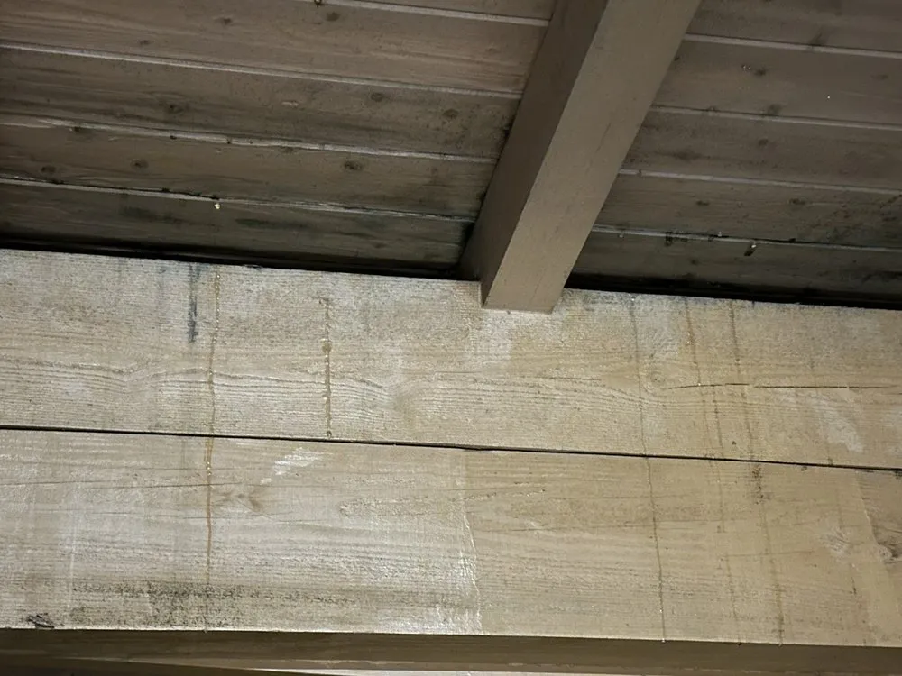 Slide of CJ's Home Repair Services