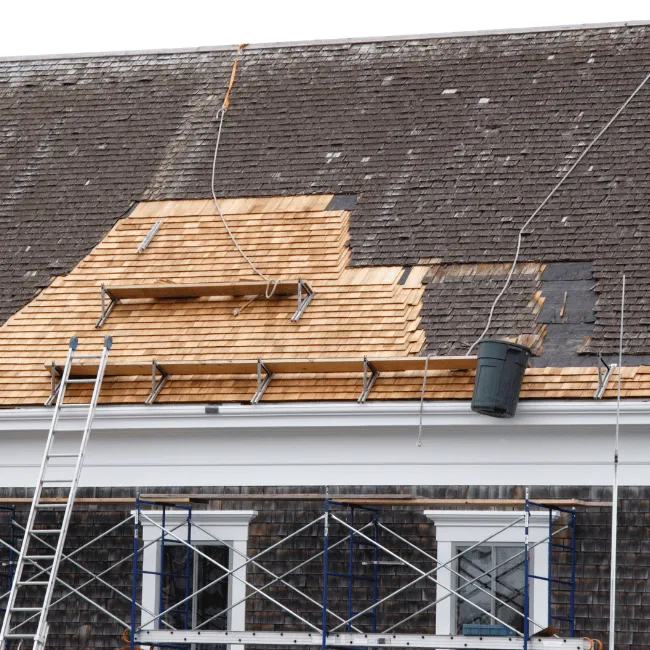 Slide of CK Restoration