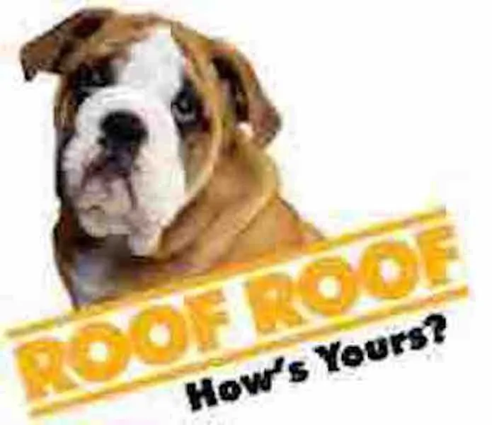 Professional shingle roofing service in Parsippany-troy Hills, NJ by CKG Contractors