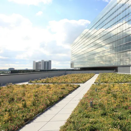 Slide of Claremont Property