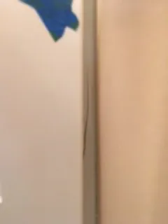 Slide of Classic Remodeling Group