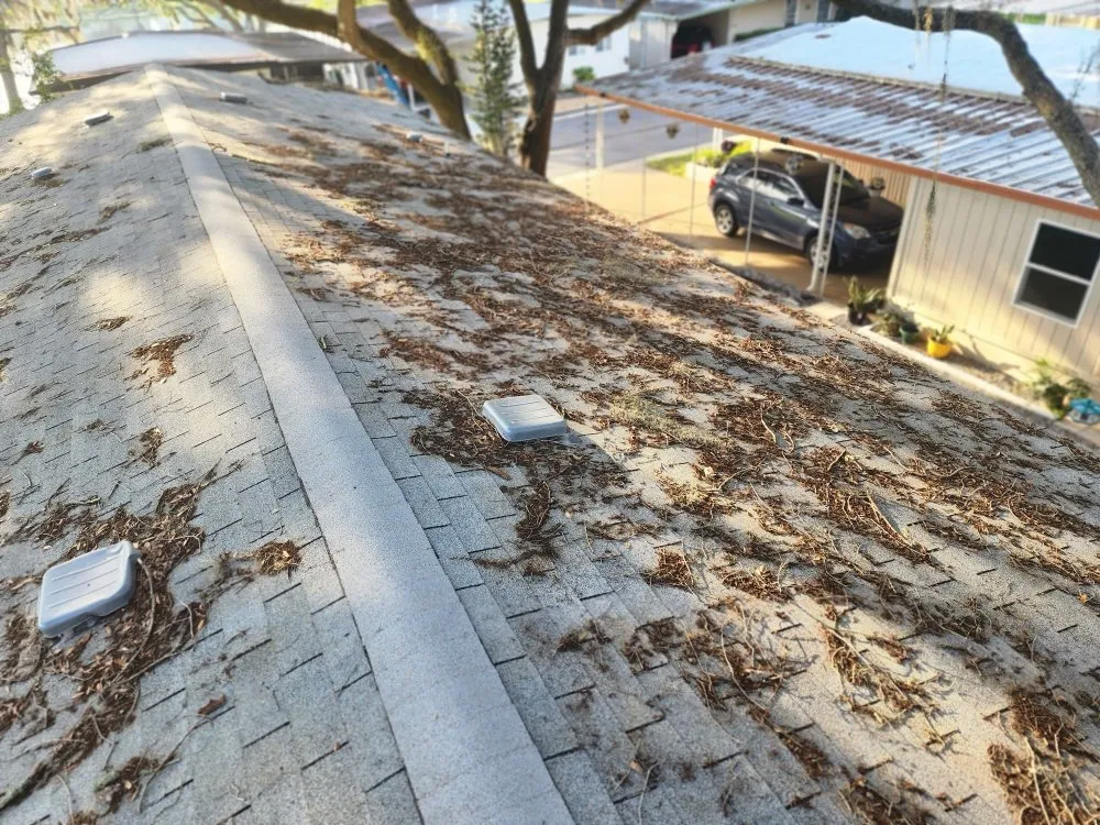 Trusted flat roof repair experts serving St Petersburg, FL - Clean 2 Preserve