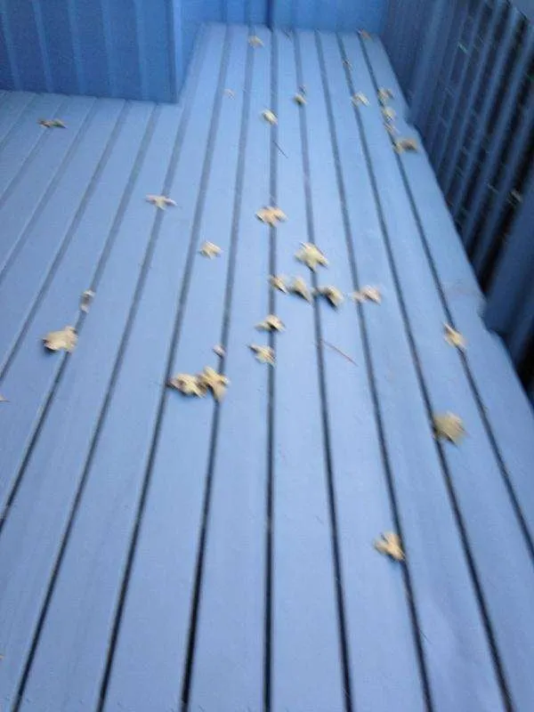 Slide of Clean and Clear Services