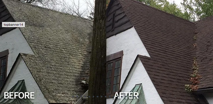 Slide of Clean and Green