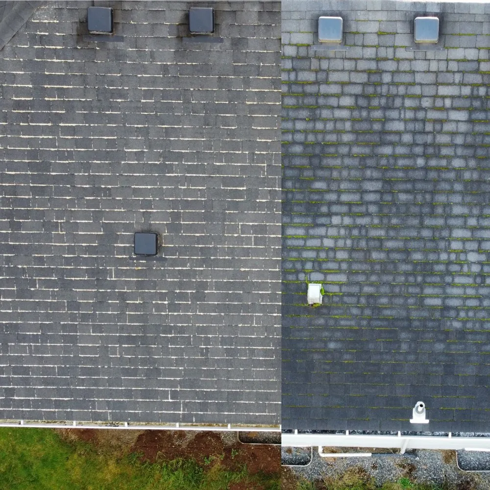 Slide of Clean Choice Professional Services