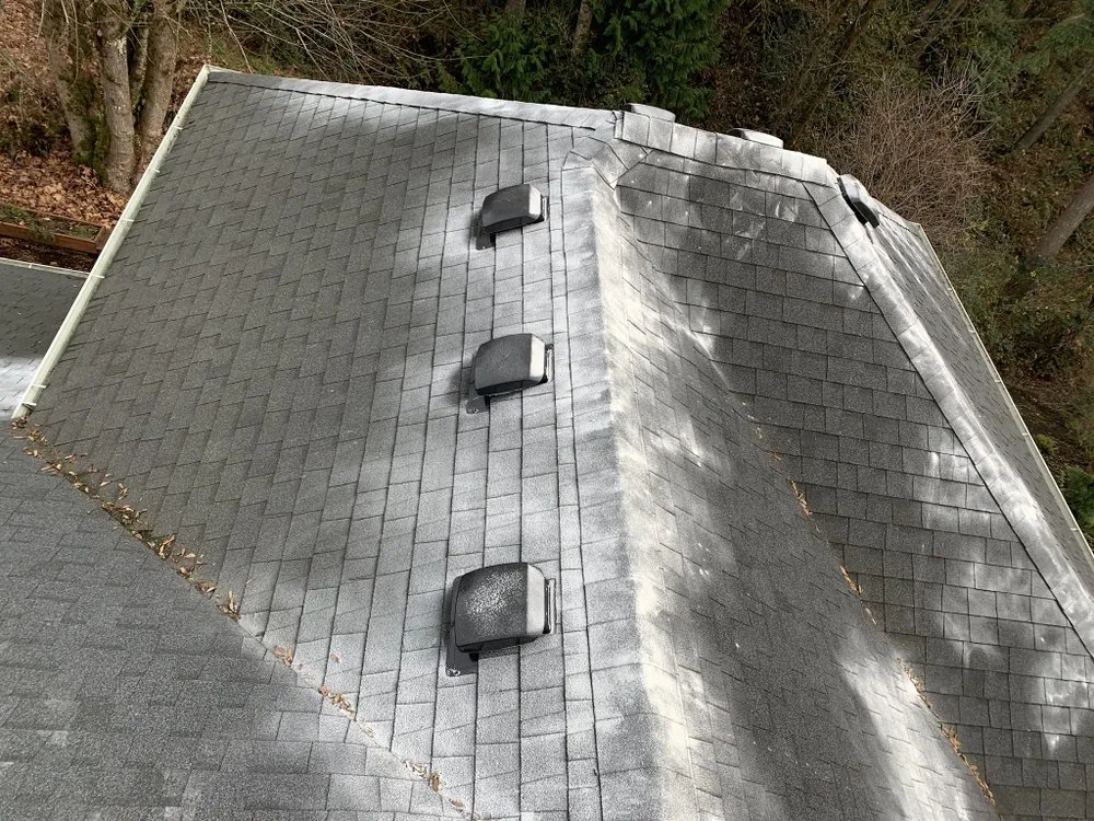 Slide of Clean Choice Professional Services