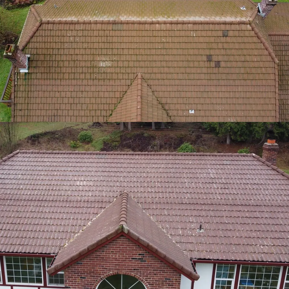 Slide of Clean Choice Professional Services