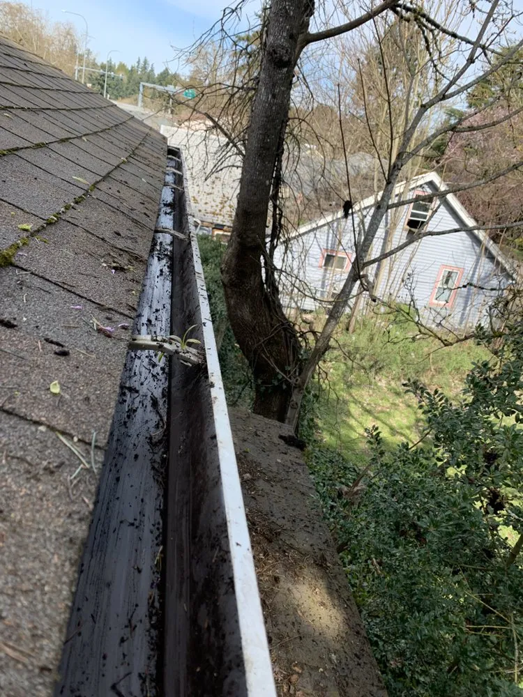 Slide of Clean Choice Professional Services