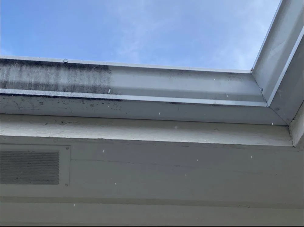 Slide of Clean Pro Moss