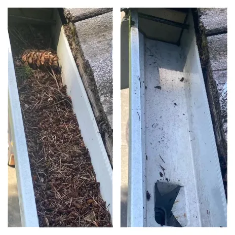 Slide of Clean Pro Moss