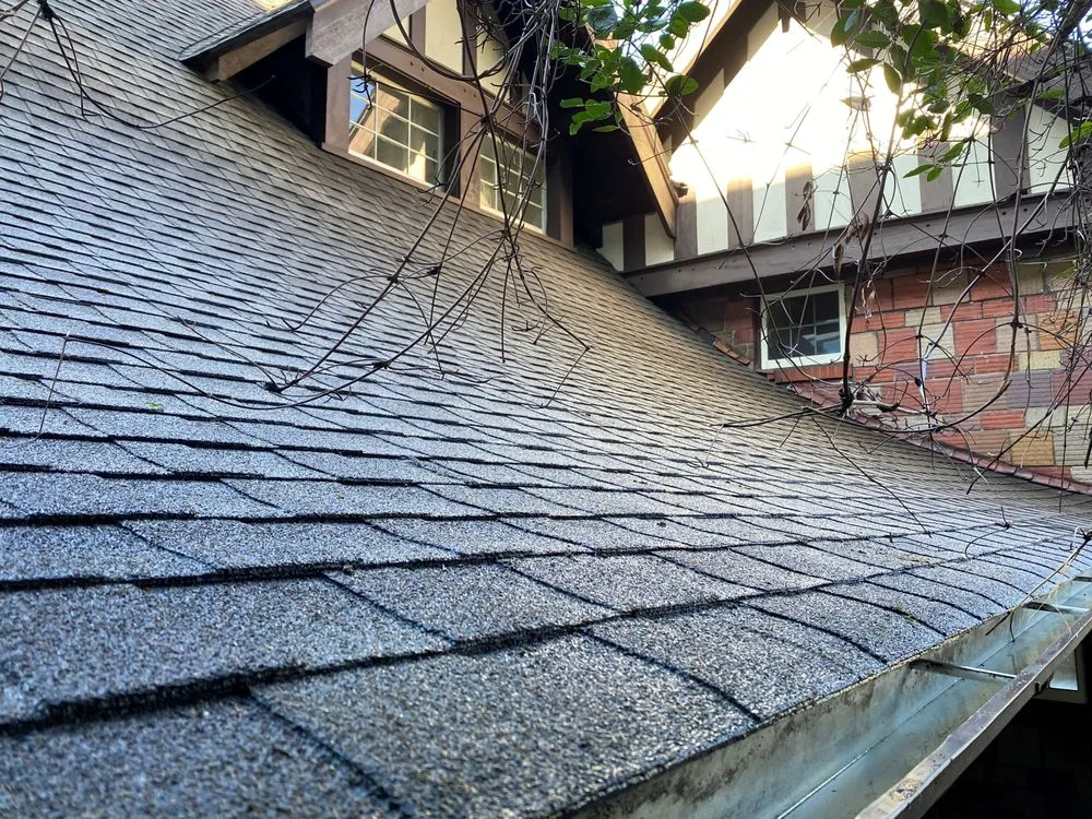 Slide of Clean Pro Moss