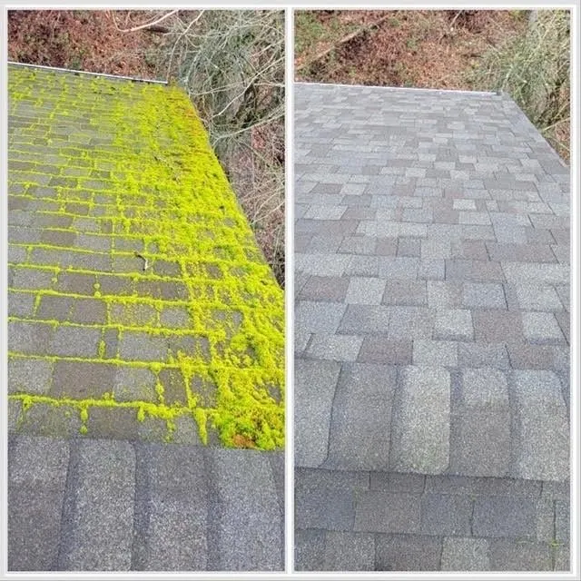 Slide of Clean Pro Moss