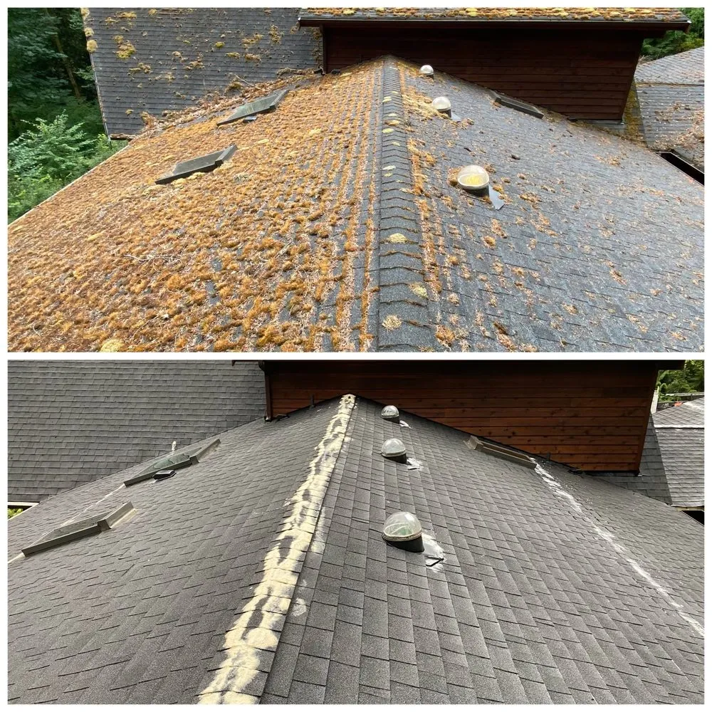 Slide of Clean Pro Moss