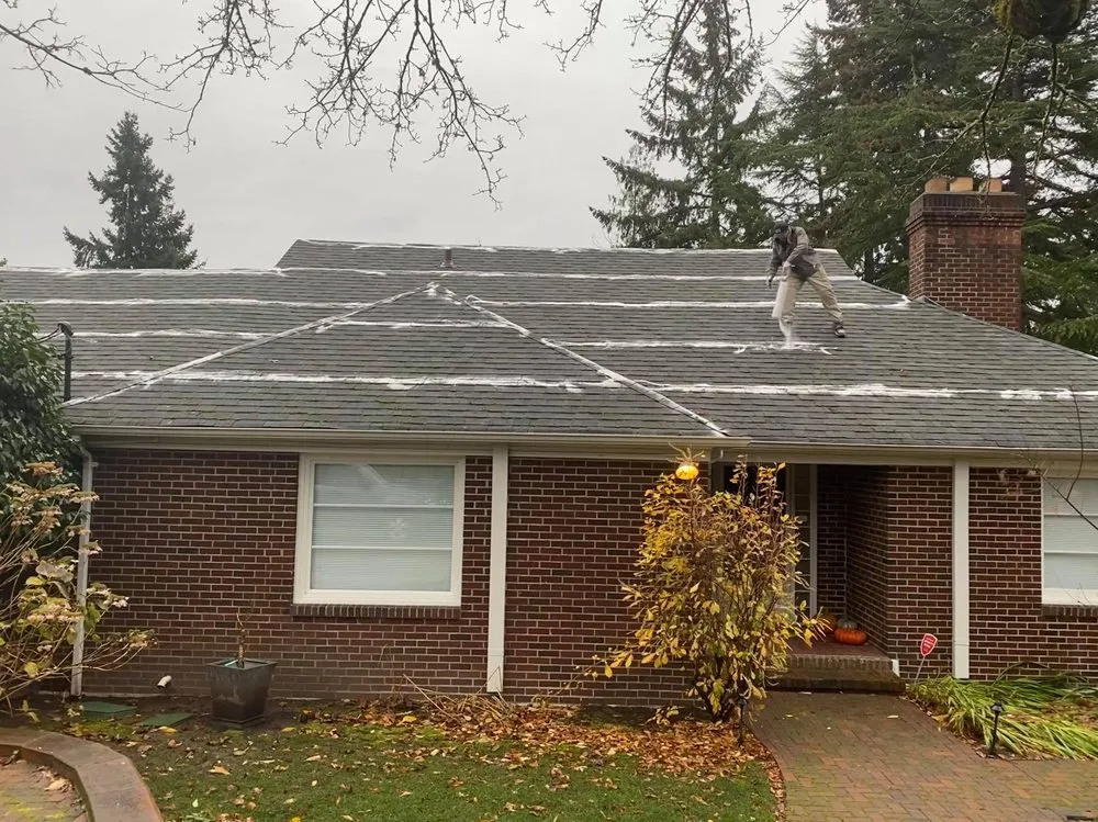 Slide of Clean Pro Moss