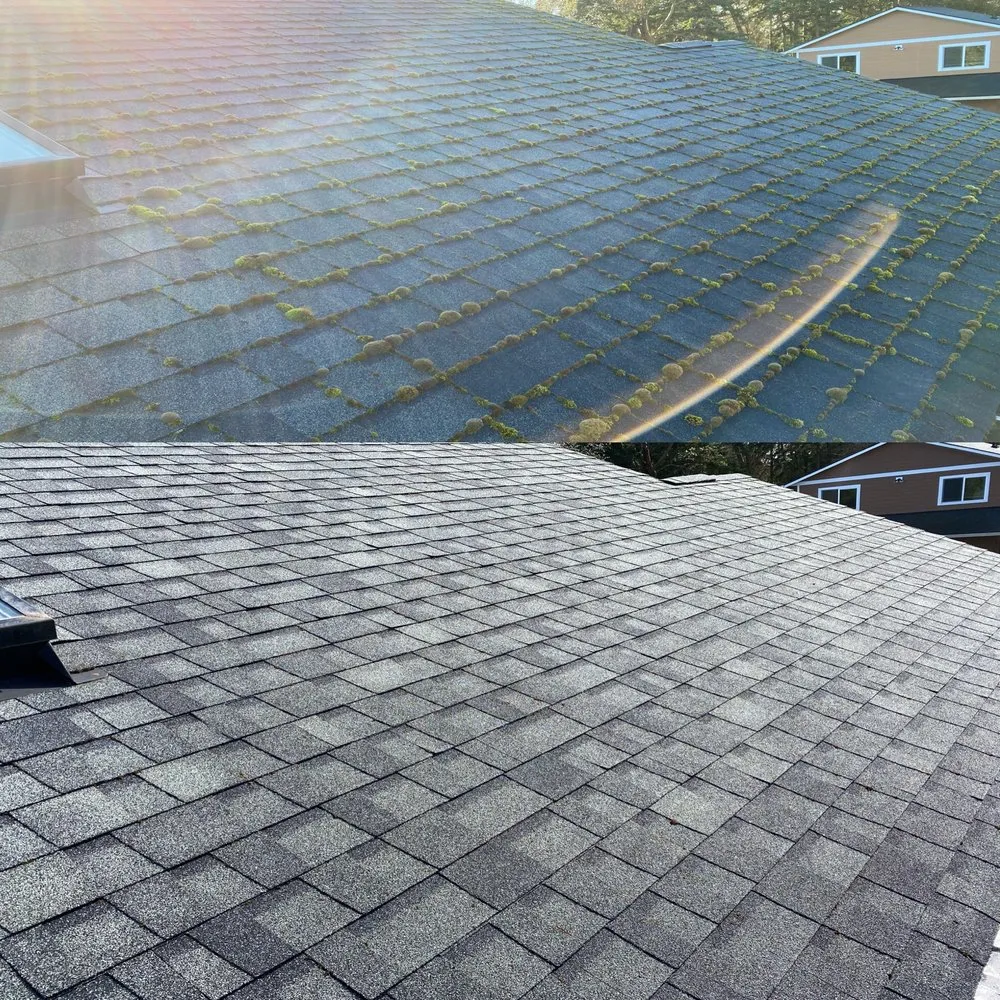 Slide of Clean Pro Moss